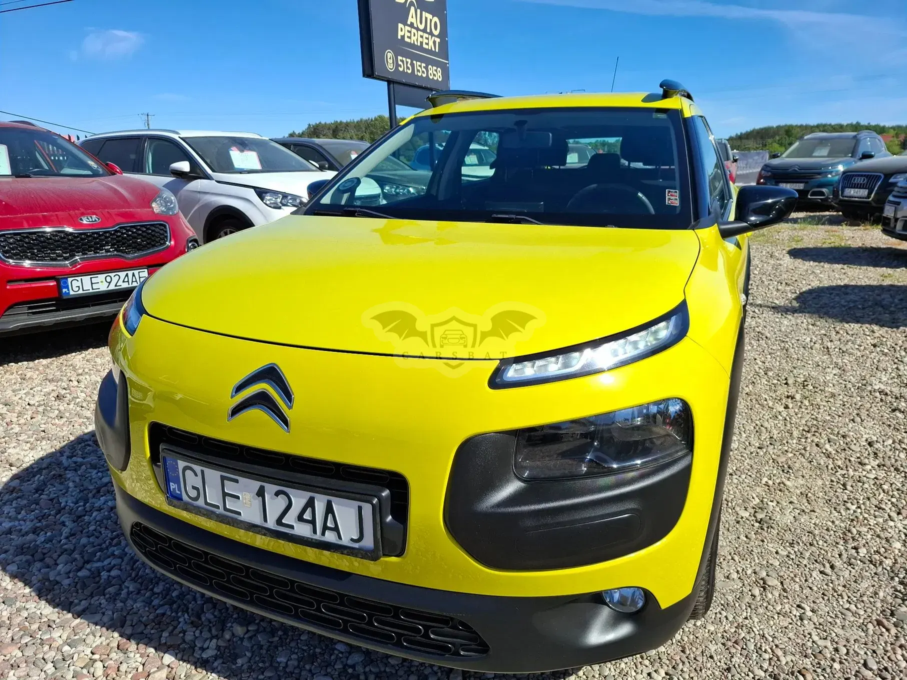 Citroën C4 Cactus 2014