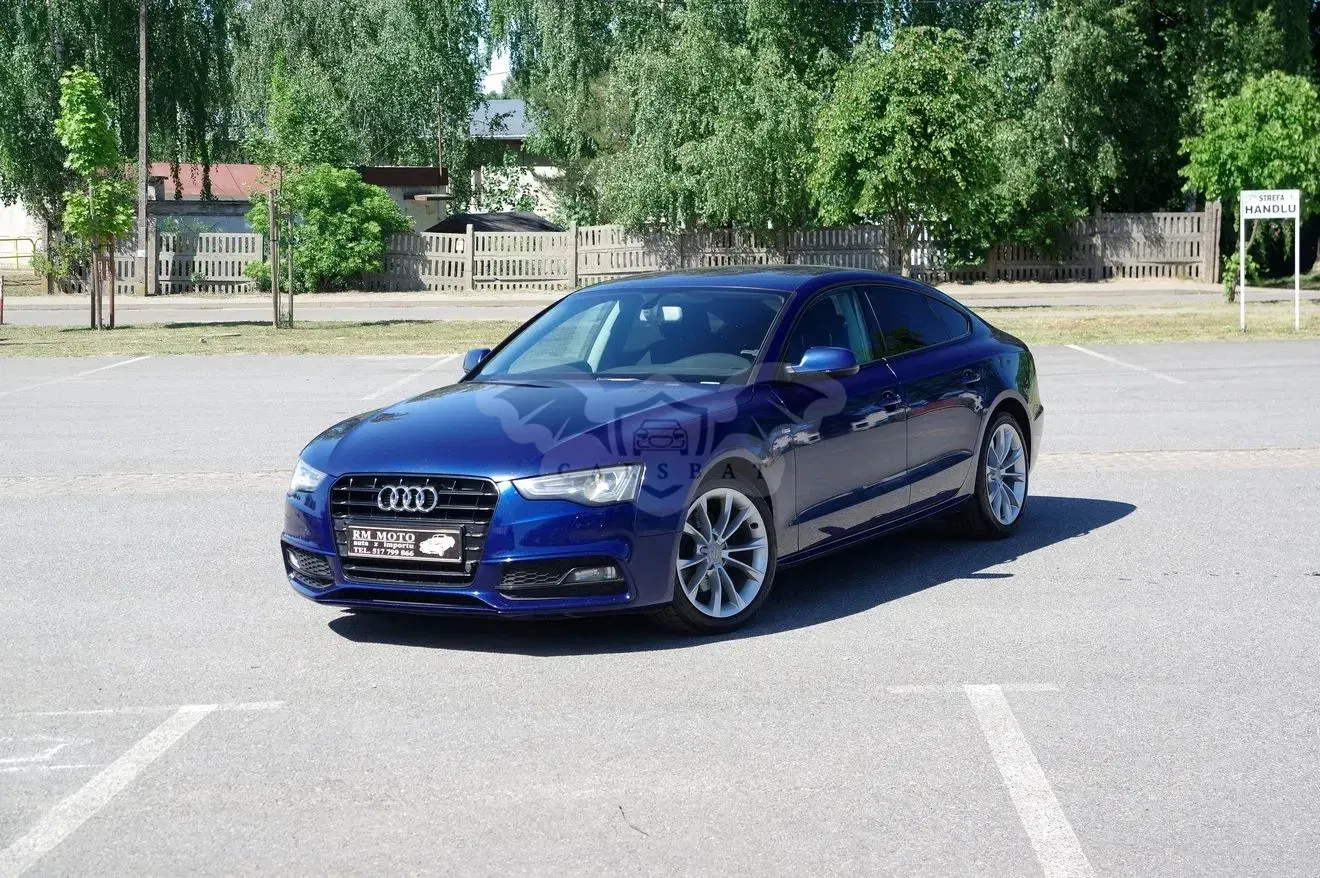 Audi A5 8T 2.0 TDI (clean diesel) DPF 2014