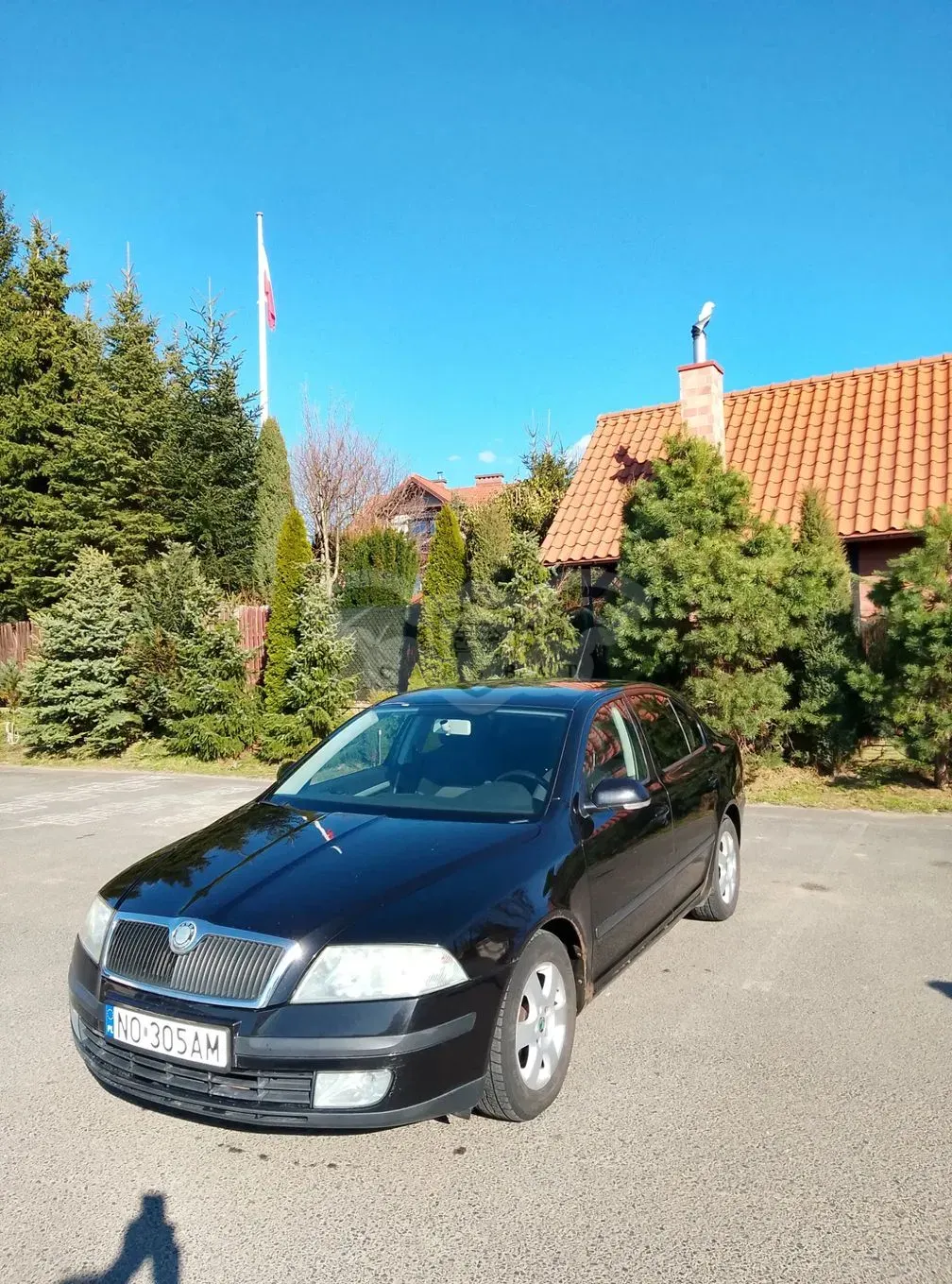 Skoda Octavia II 1.9 TDI Classic 2005