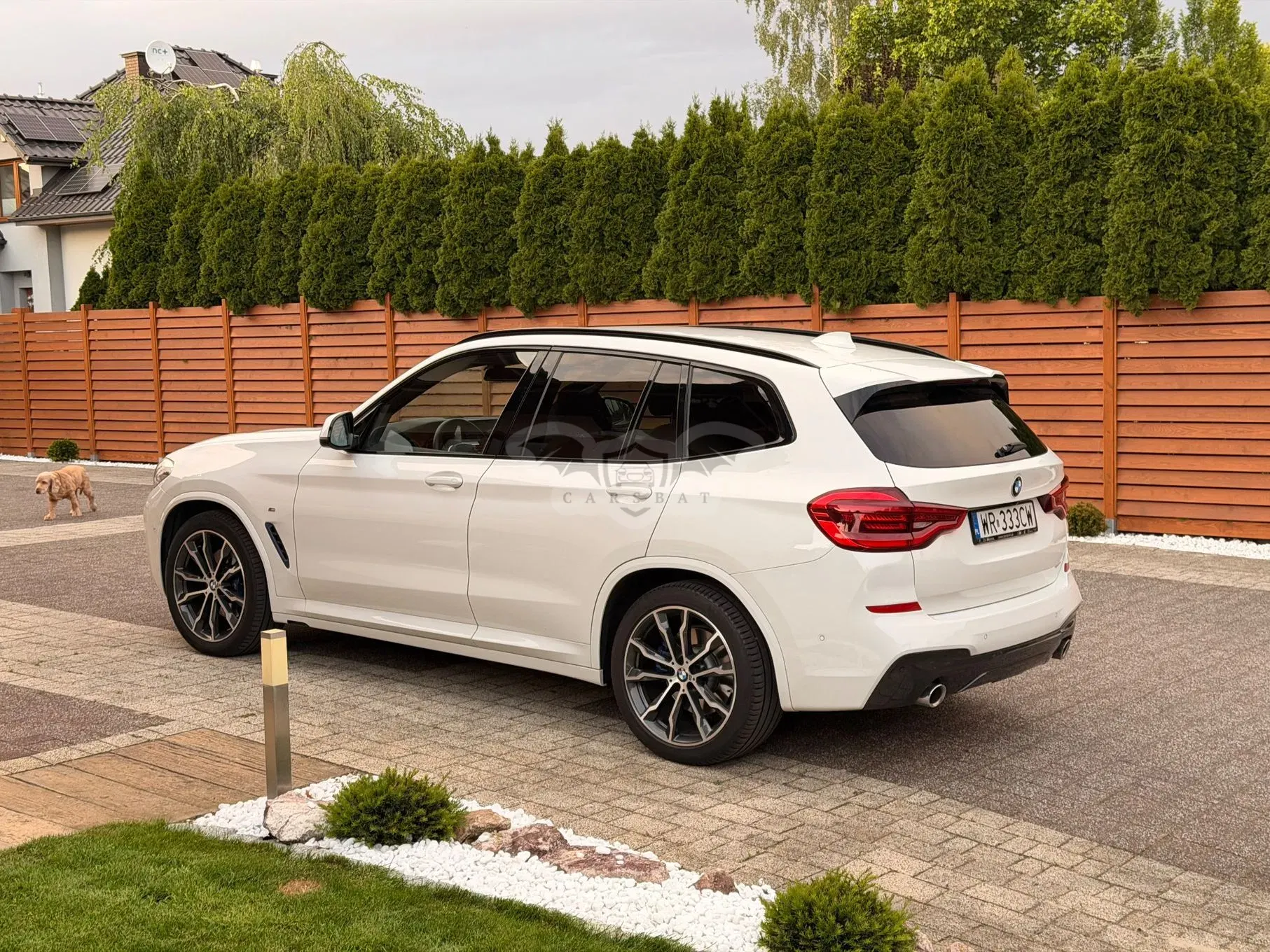 BMW X3 G01 xDrive30i M Sport sport 2019