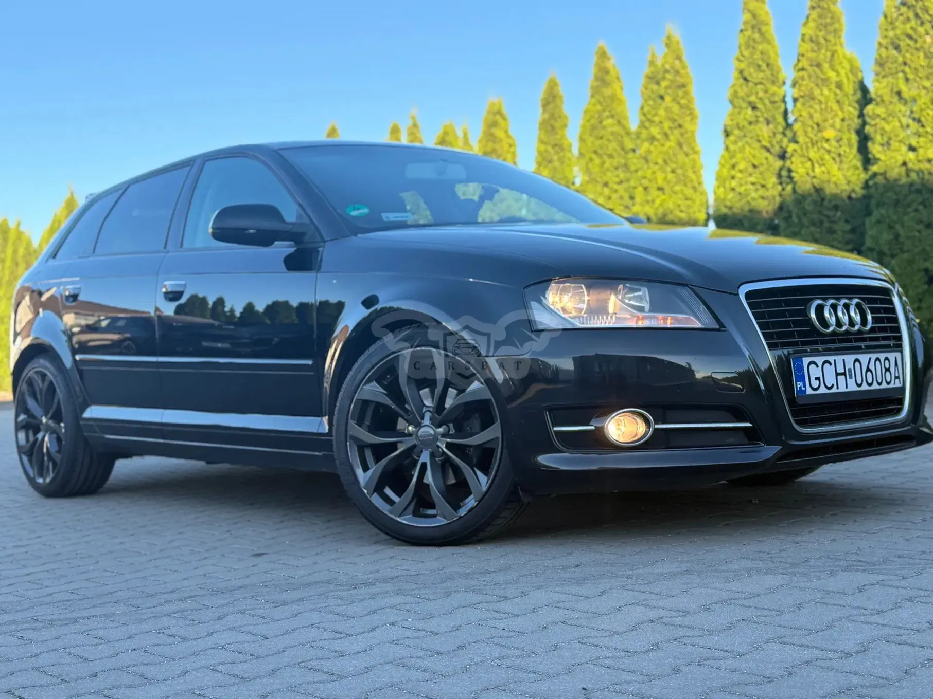 Audi A3 8P 2.0 TDI Ambition 2011