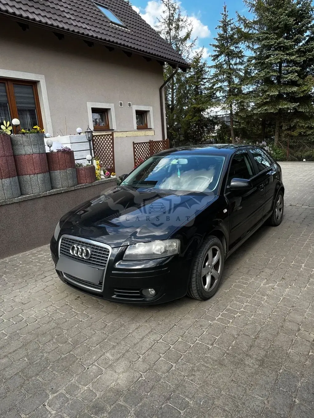 Audi A3 8P 1.9 TDI DPF e 2006