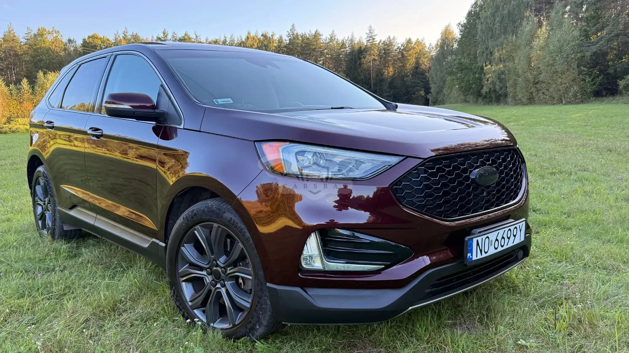 Ford Edge 2.0 EcoBlue Twin-Turbo 4WD Titanium 2019