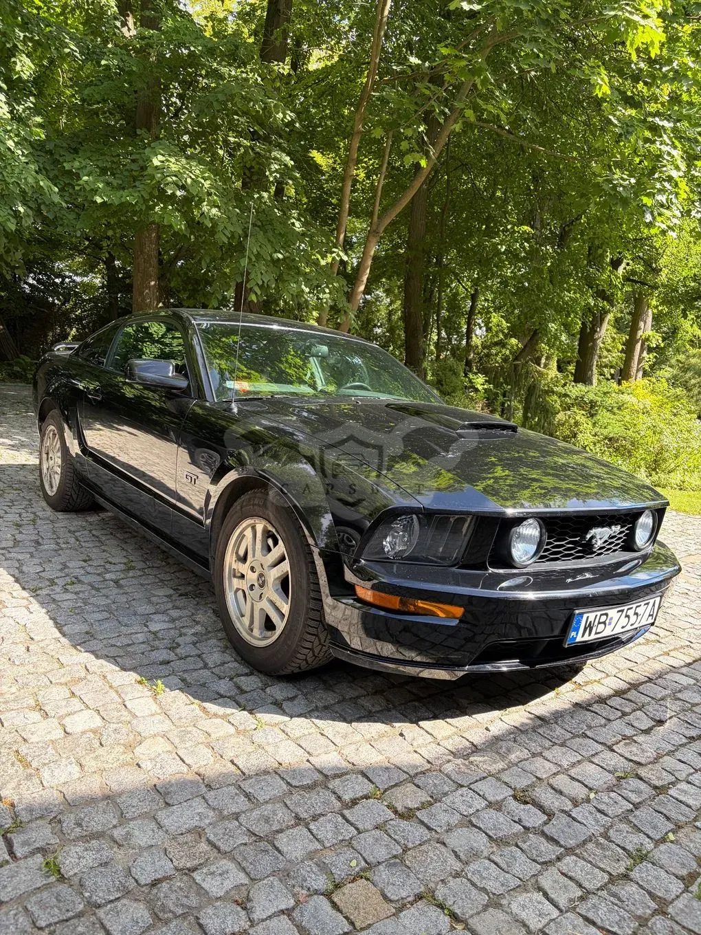 Ford Mustang 4.6 V8 Mach 1 2008