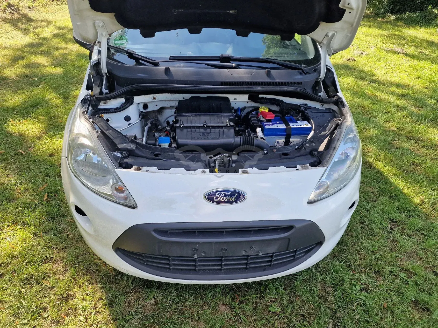 Ford KA/KA+ II 1.2 Start-Stopp-System Trend 2016