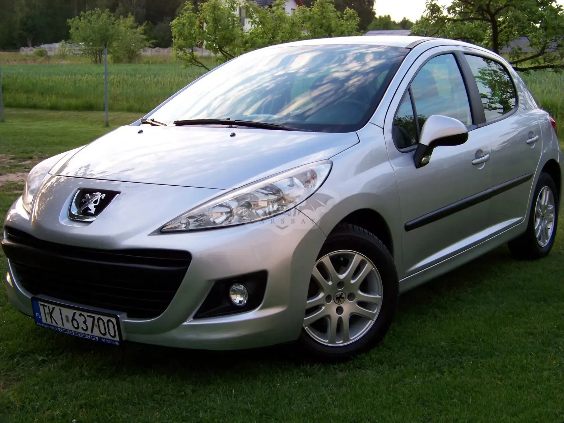 Peugeot 207 1.4 HDi Trendy 2010