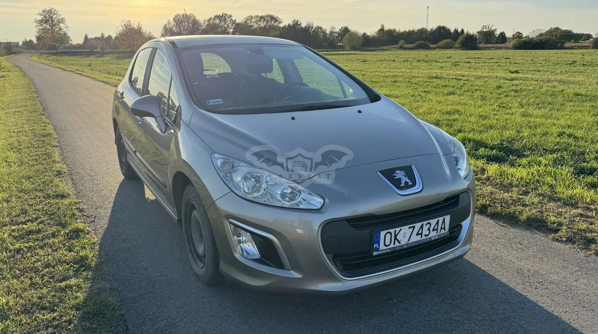 Peugeot 308 T7 1.6 HDi Access 2011