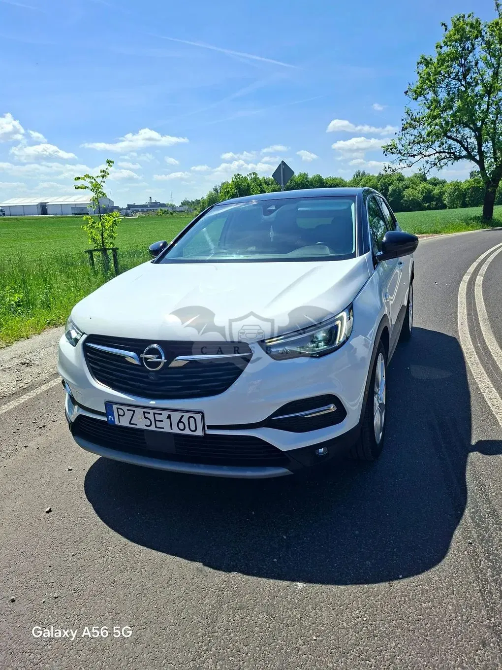 Opel Grandland 1.5 CDTI Design Line S&S 2020