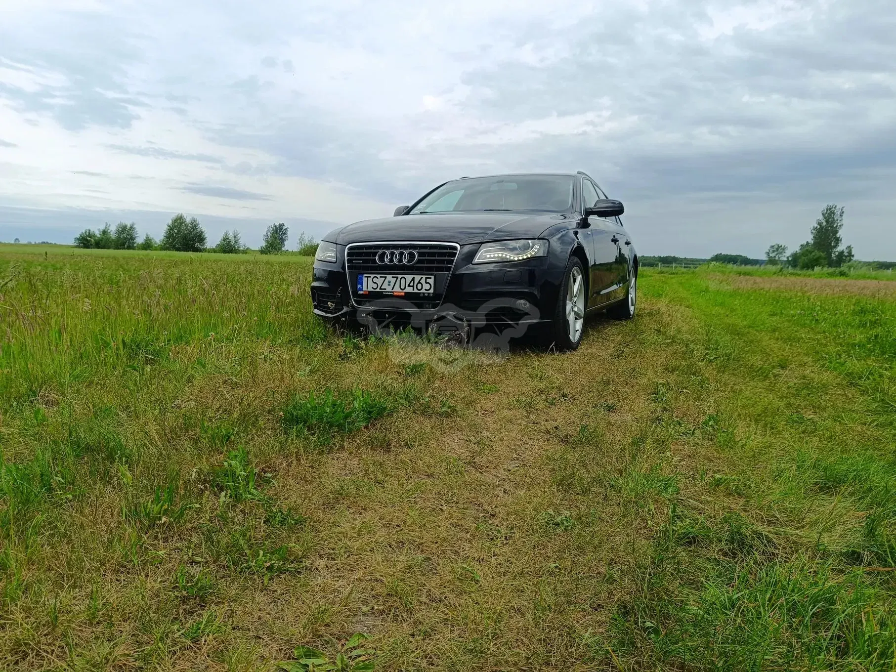Audi A4 B8 2.0 TDI DPF quattro S line Sportpaket (plus) 2010