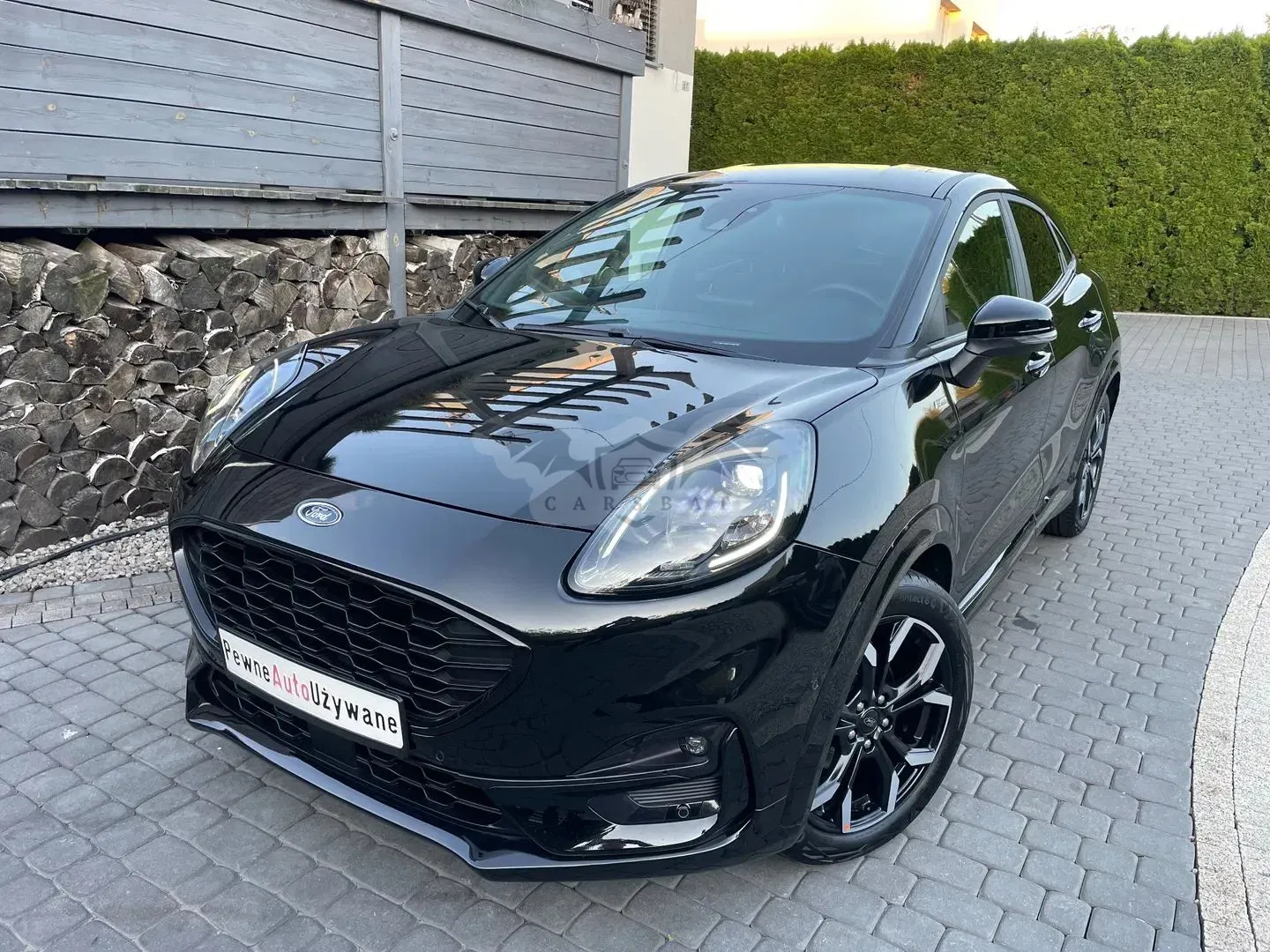 Ford Puma 1.0 EcoBoost ST-Line X 2020