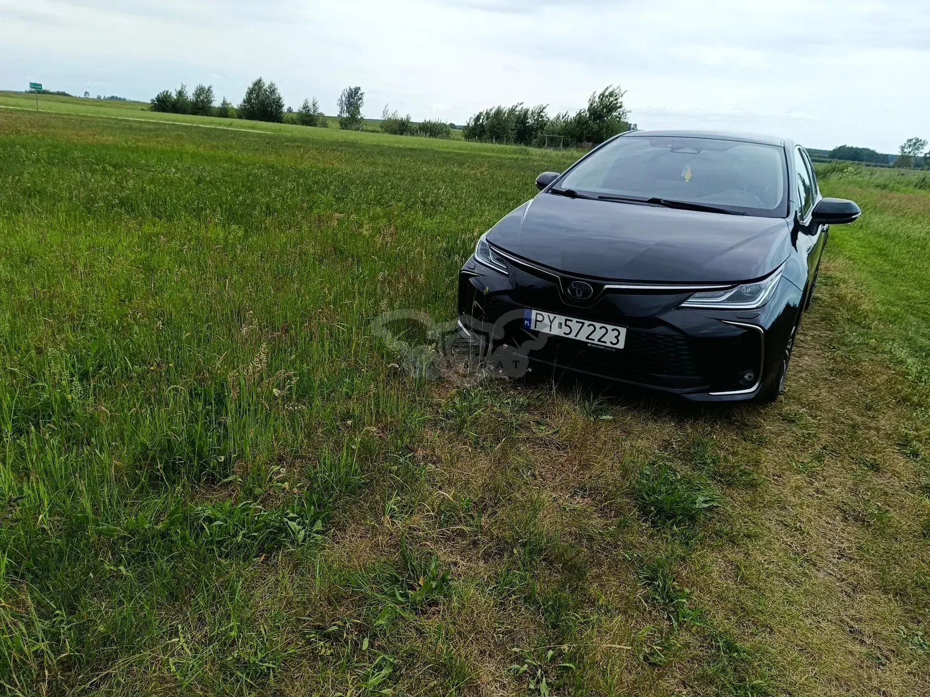 Toyota Corolla Seria E21 2023