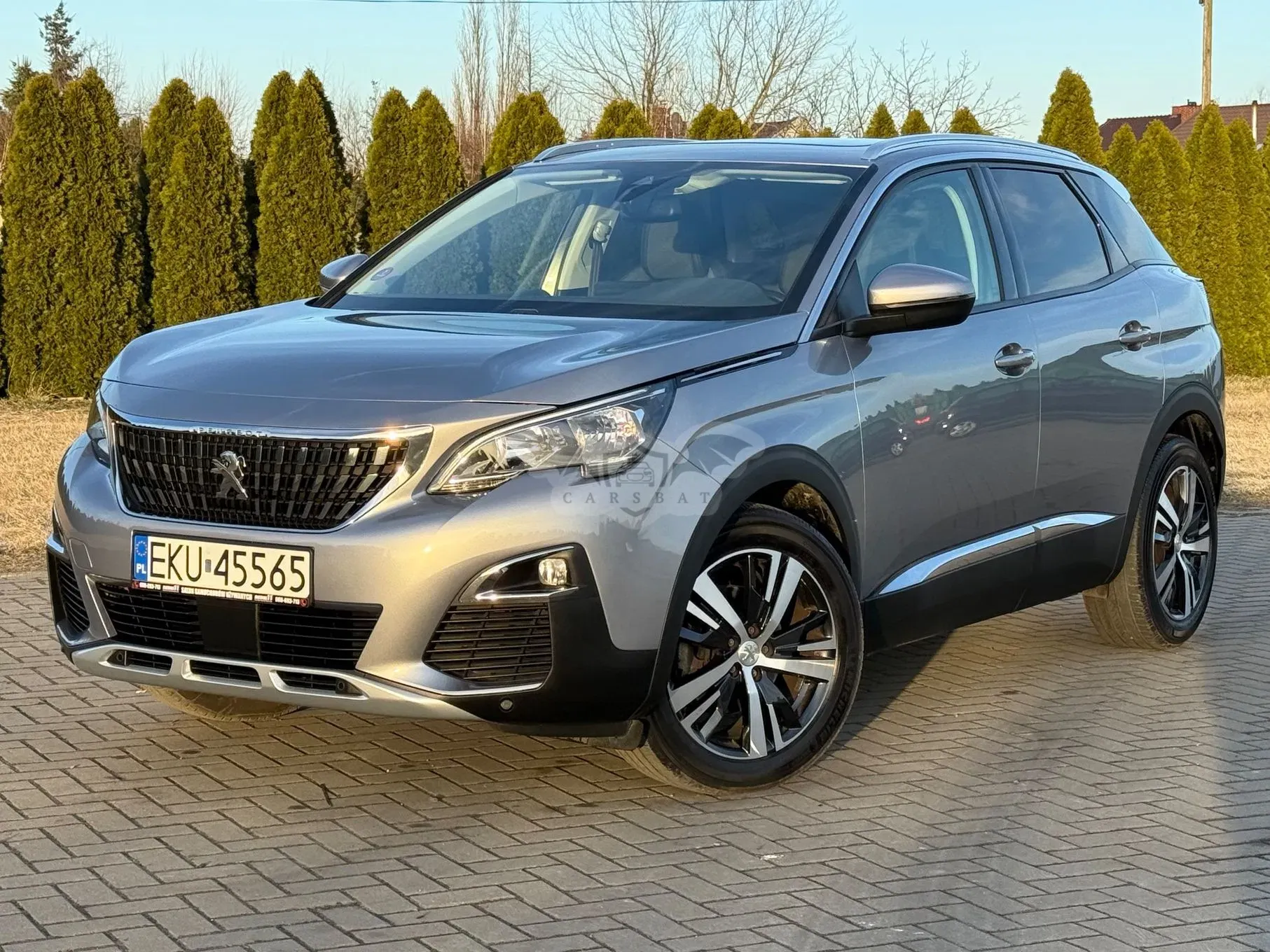 Peugeot 3008 II 2020