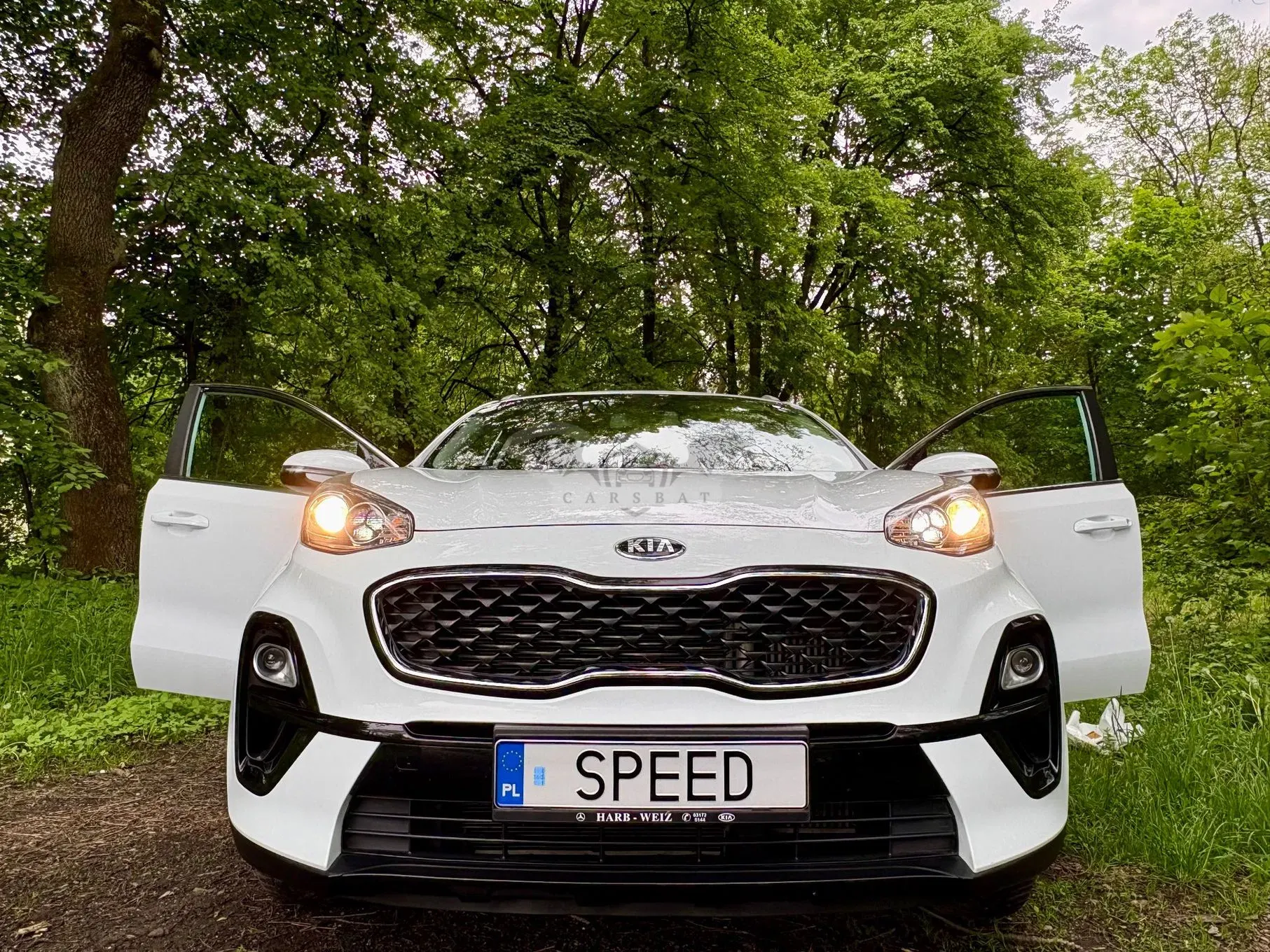 Kia Sportage IV 1.6 CRDI L 4WD 2019