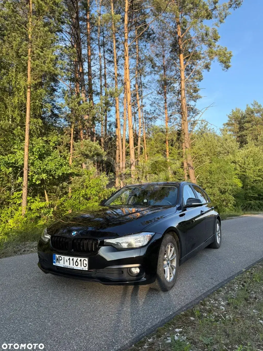 BMW 3 Series F30/F31 318i 2015