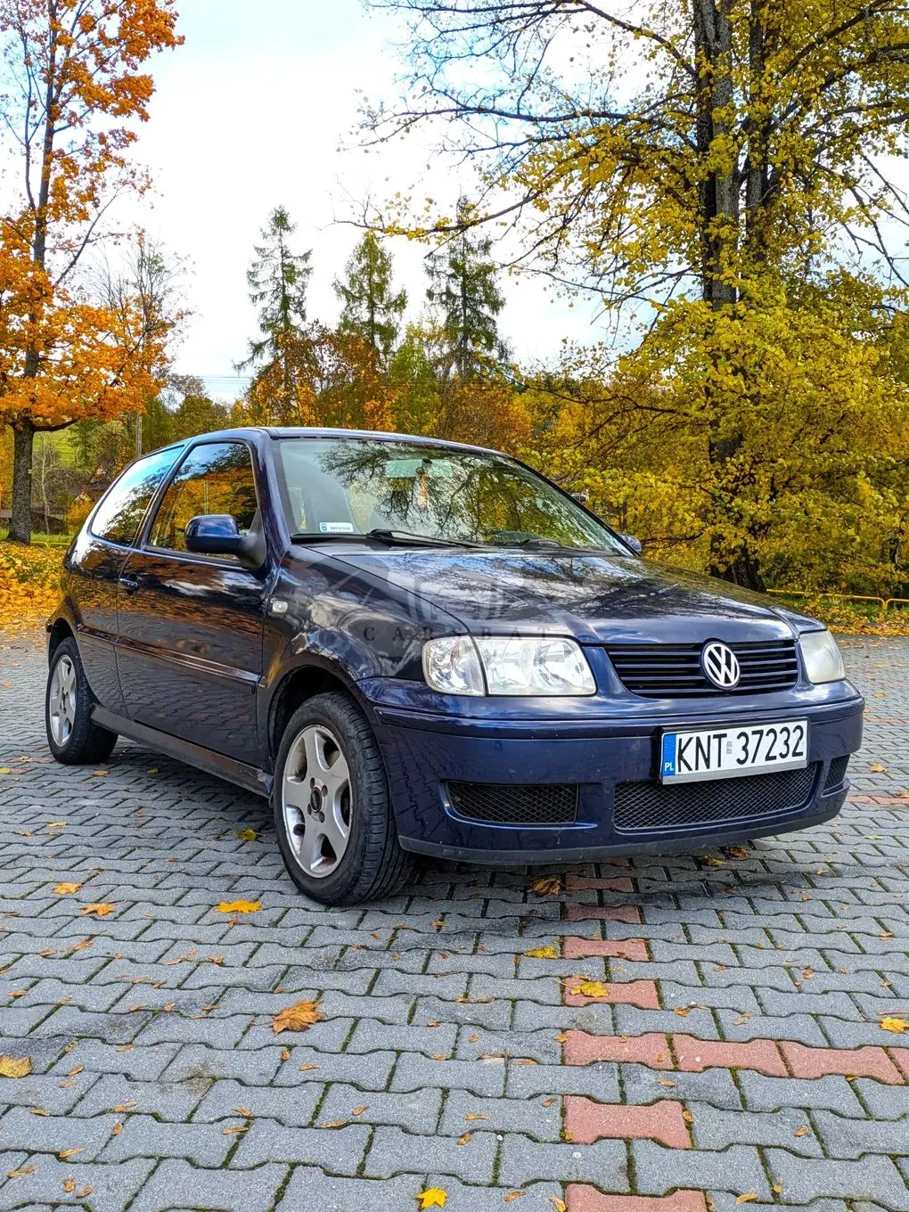 Volkswagen Polo IV 1.4 TDI Basis 2001