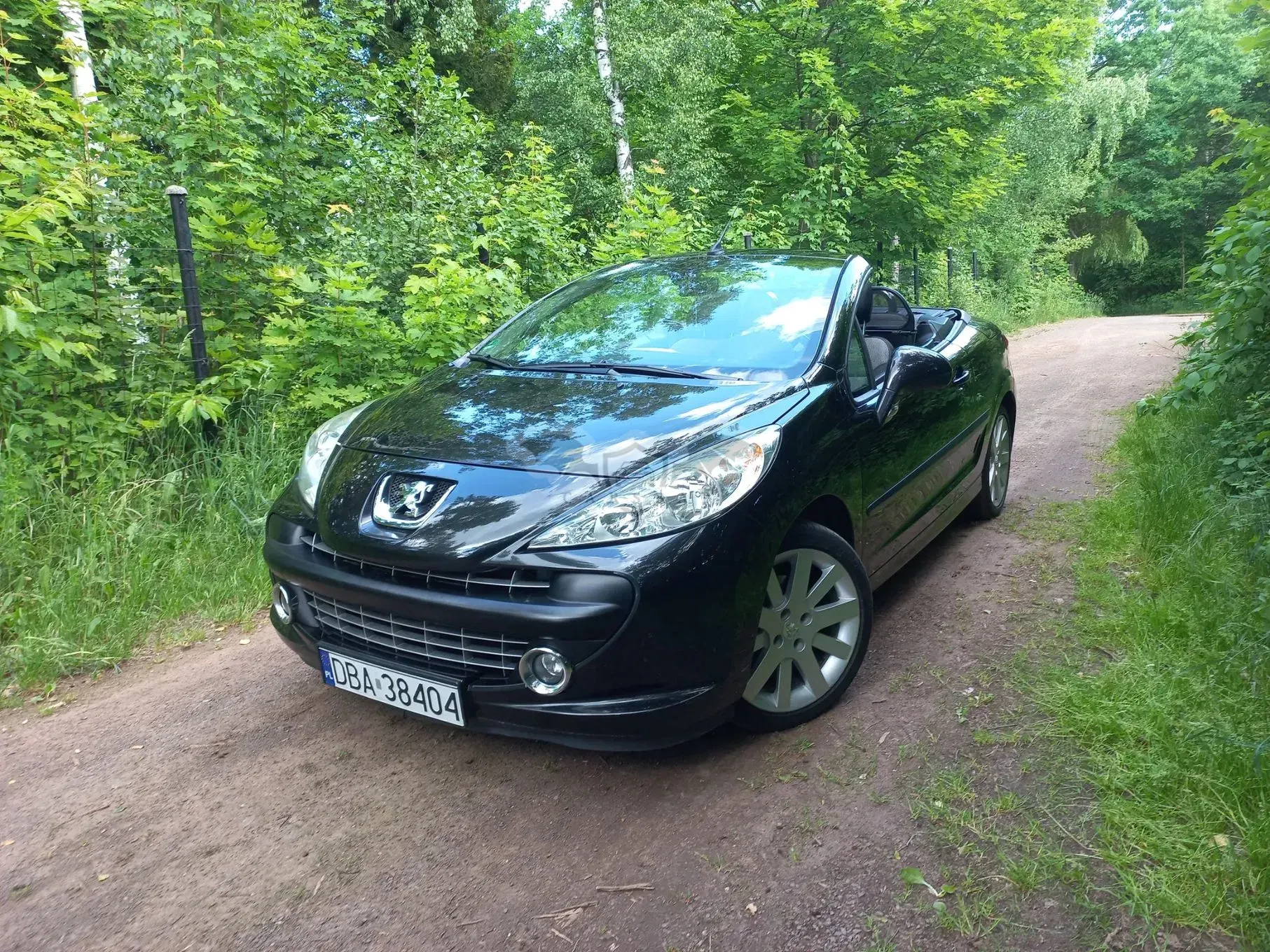 Peugeot 207 120 Premium 2007