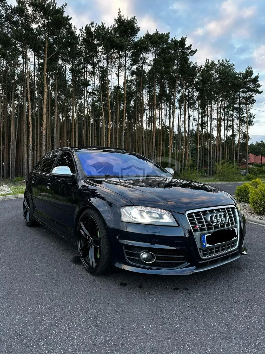 Audi S3 8P 2.0 TFSI Quattro 2008