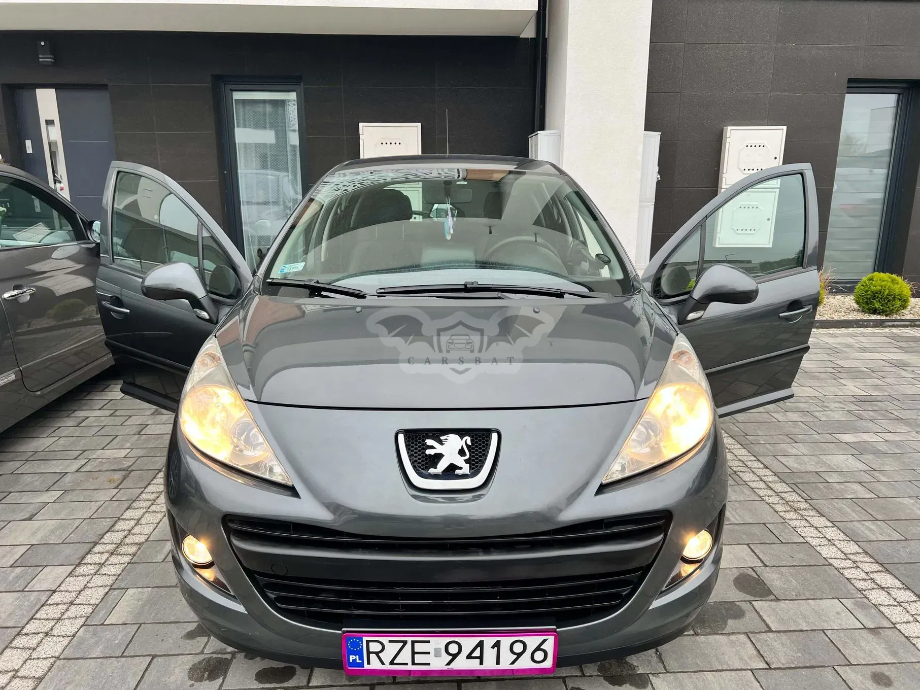 Peugeot 207 2009