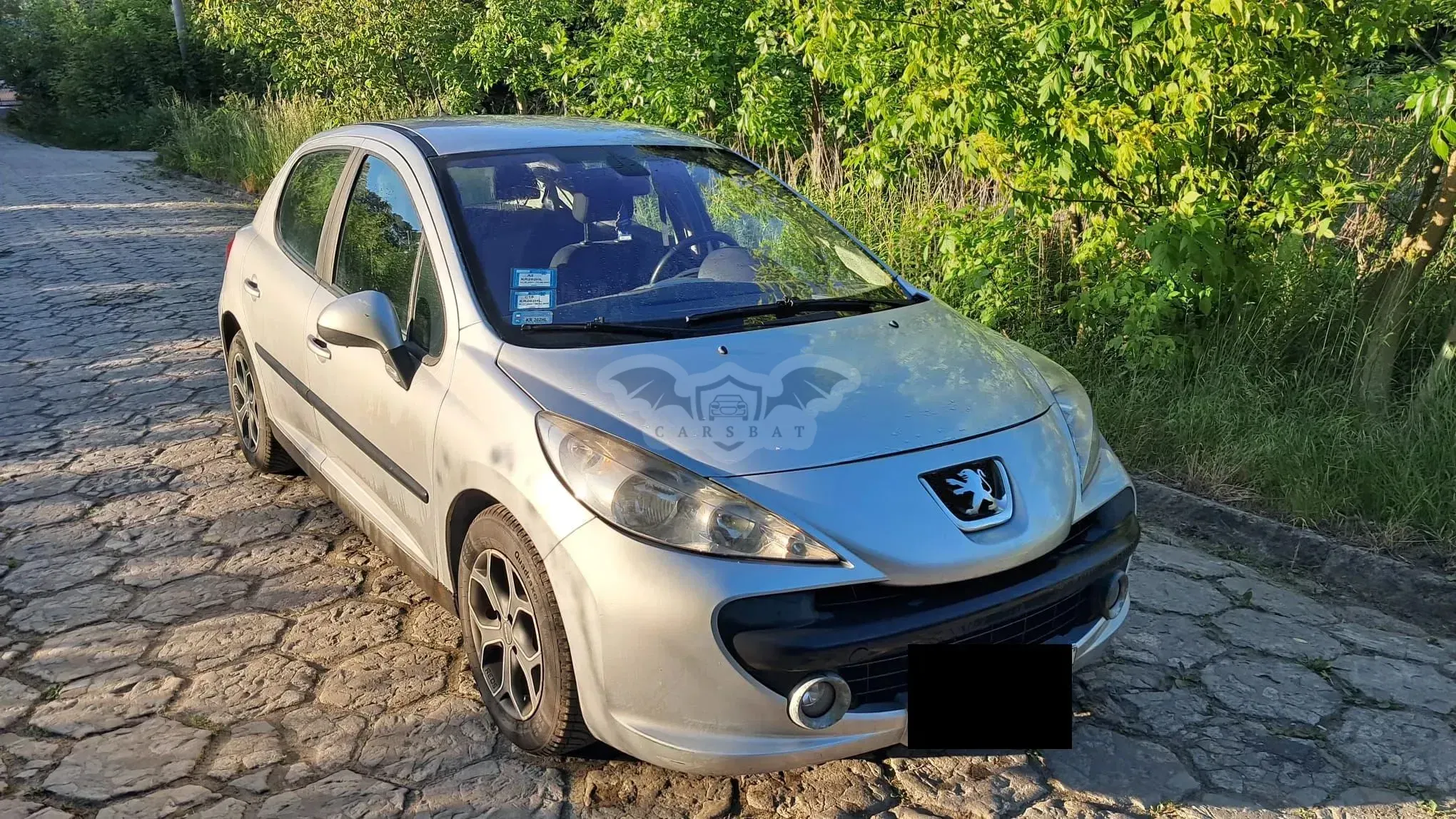 Peugeot 207 2007