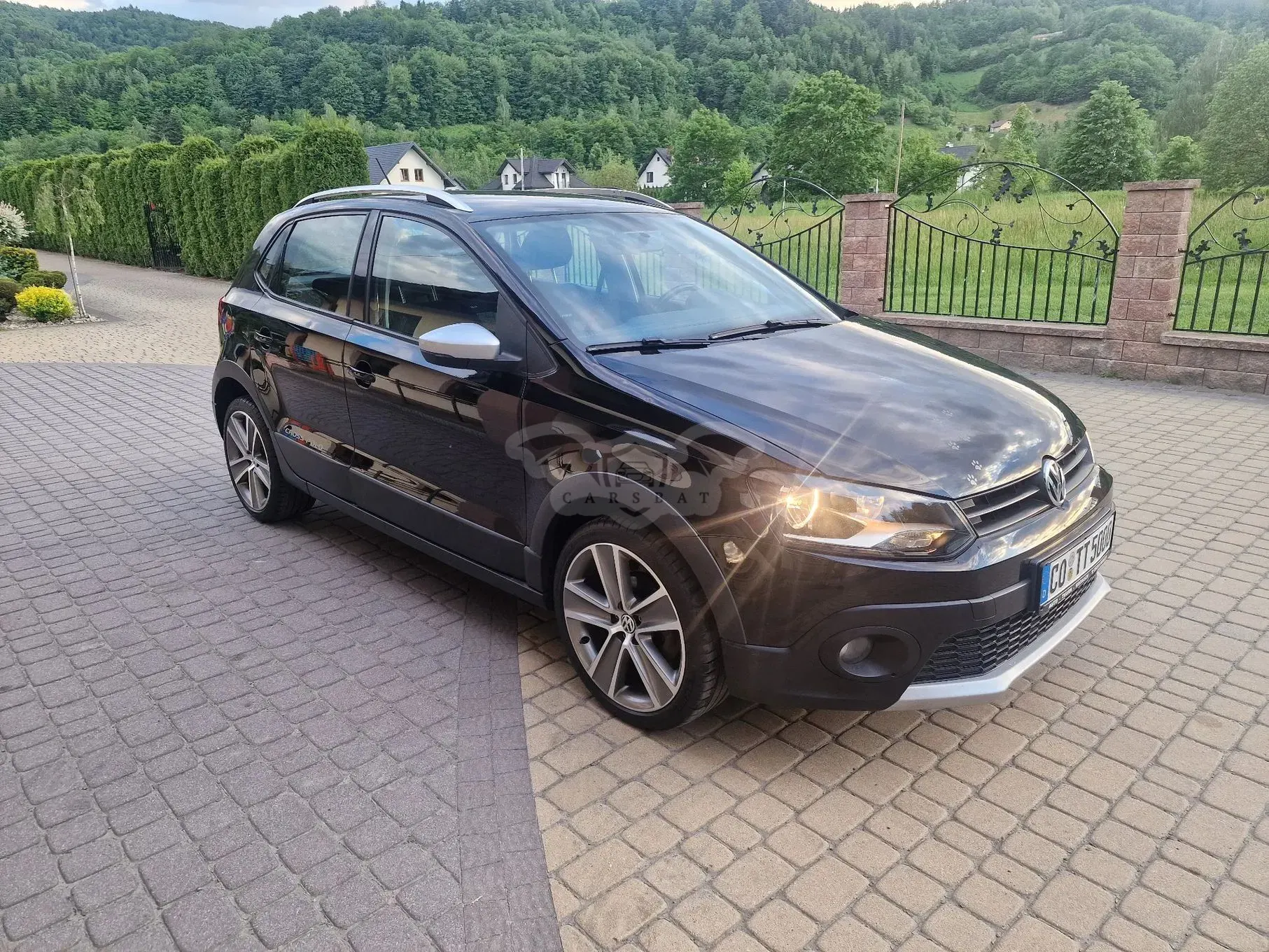 Volkswagen Polo 2010