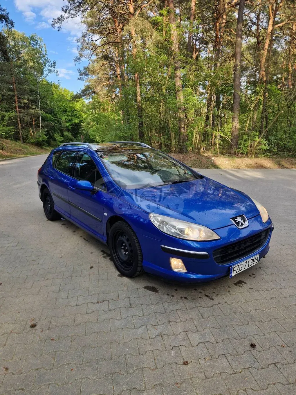 Peugeot 407 2.2 SV Executive 2004