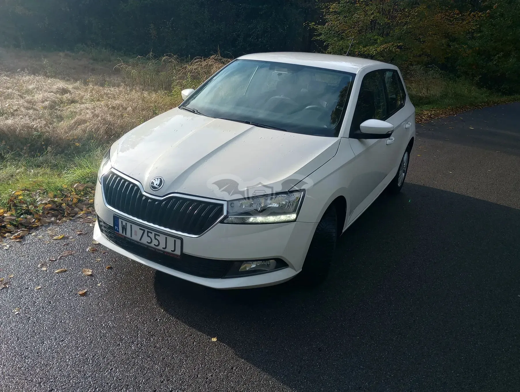 Skoda Fabia III 1.0 TSI Ambition 2019