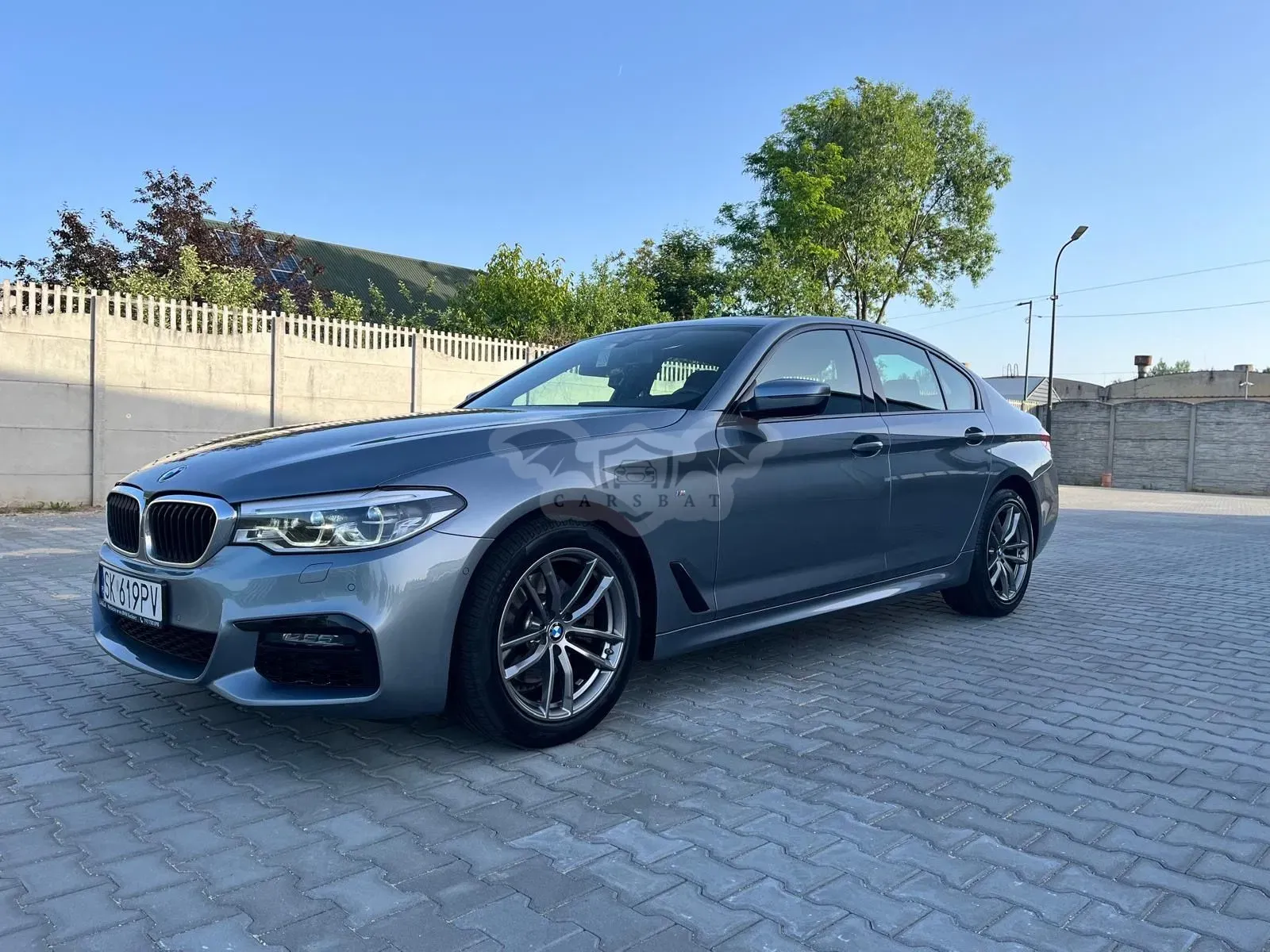 BMW 5 Series G30/G31 520d xDrive 2019