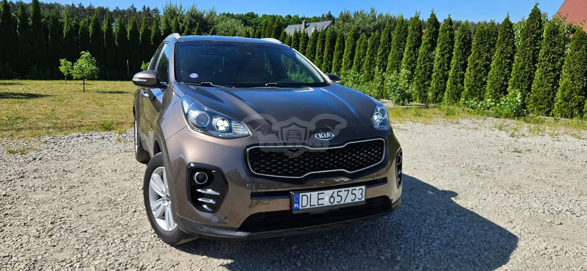 Kia Sportage IV 1.6 GDI Business Line 2WD 2016