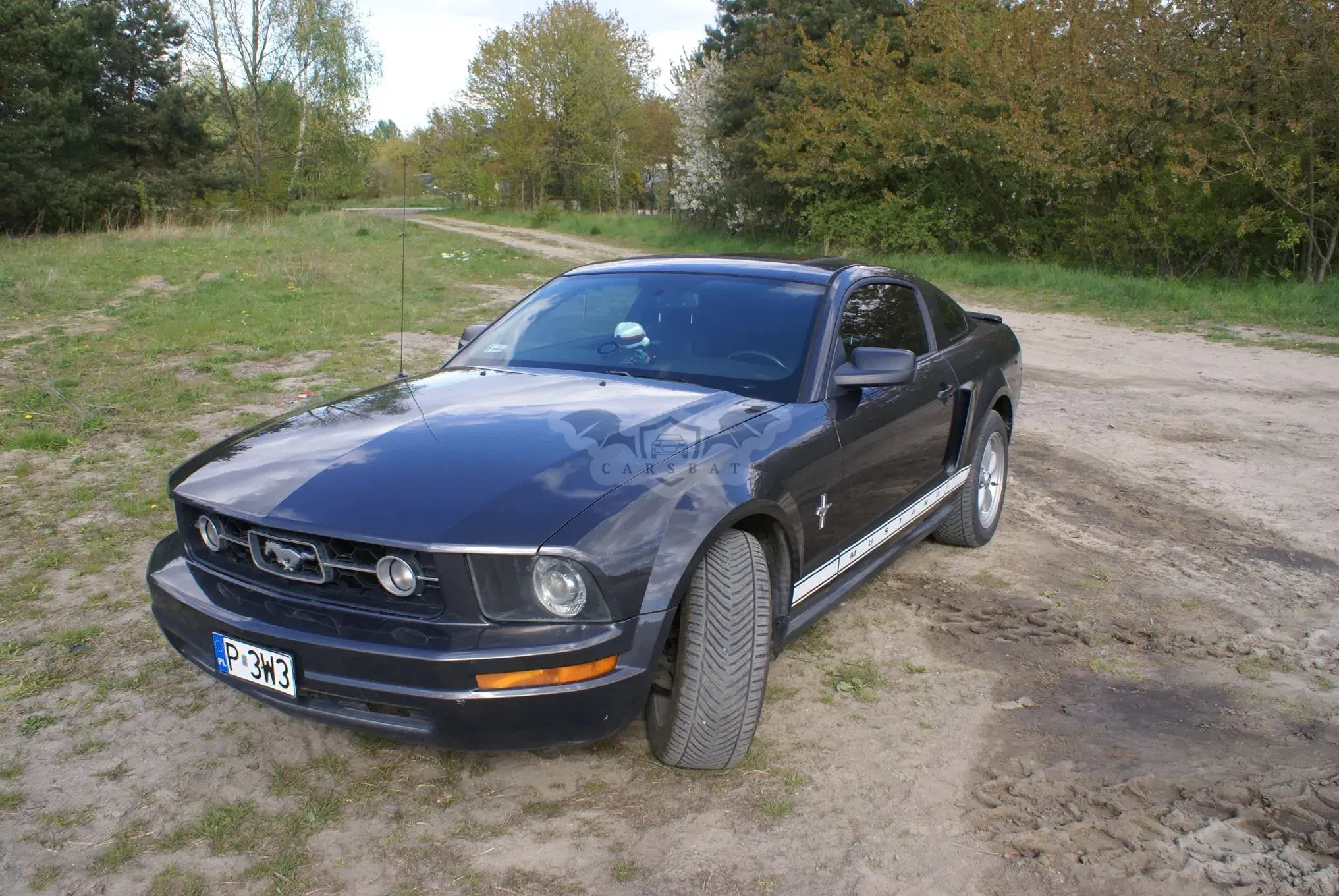 Ford Mustang 4.0 V6 2007