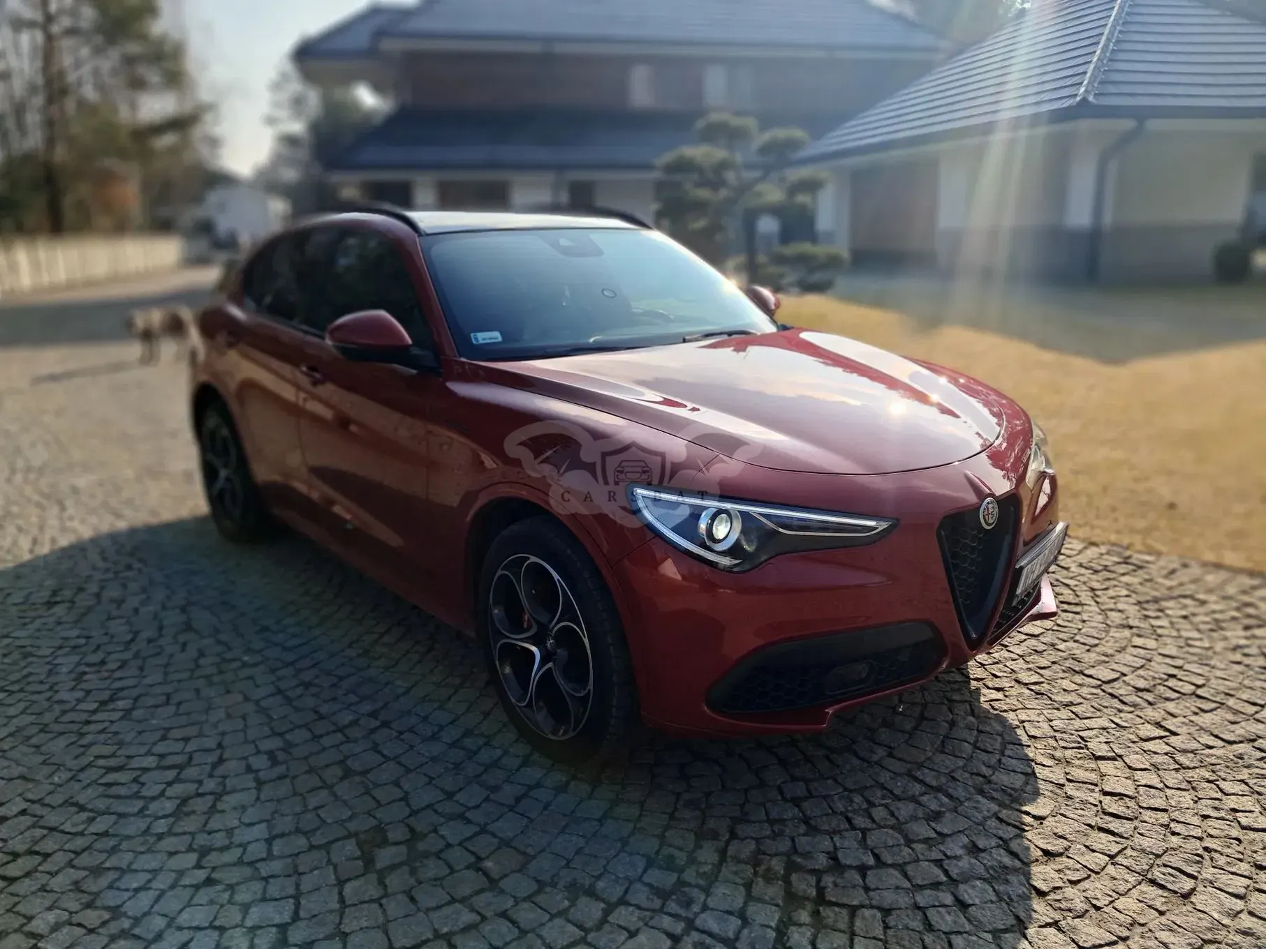 Alfa Romeo Stelvio 2.0 Turbo Veloce TI Q4 2020