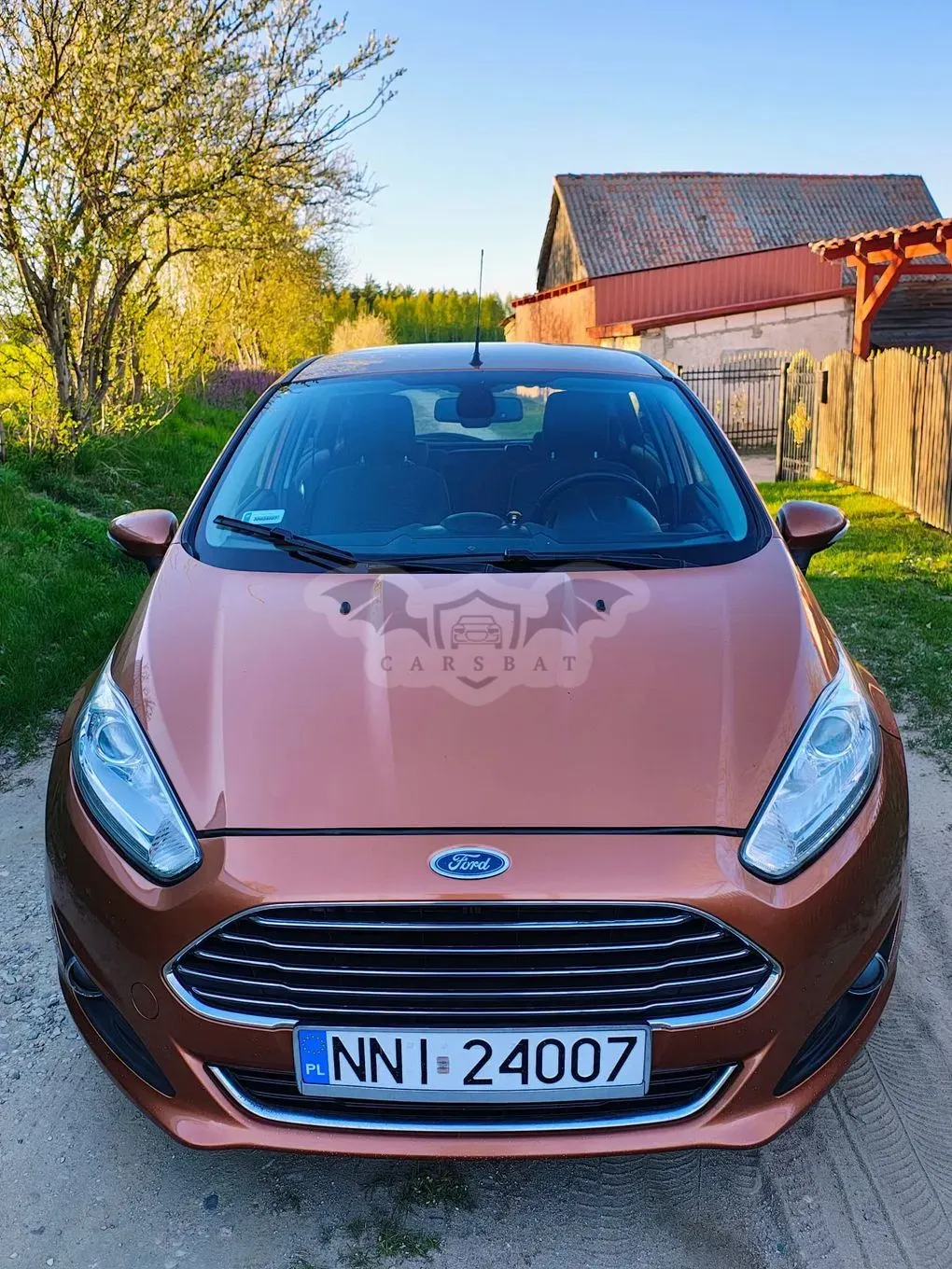 Ford Fiesta Mk7 1.5 TDCi Champions Edition 2013