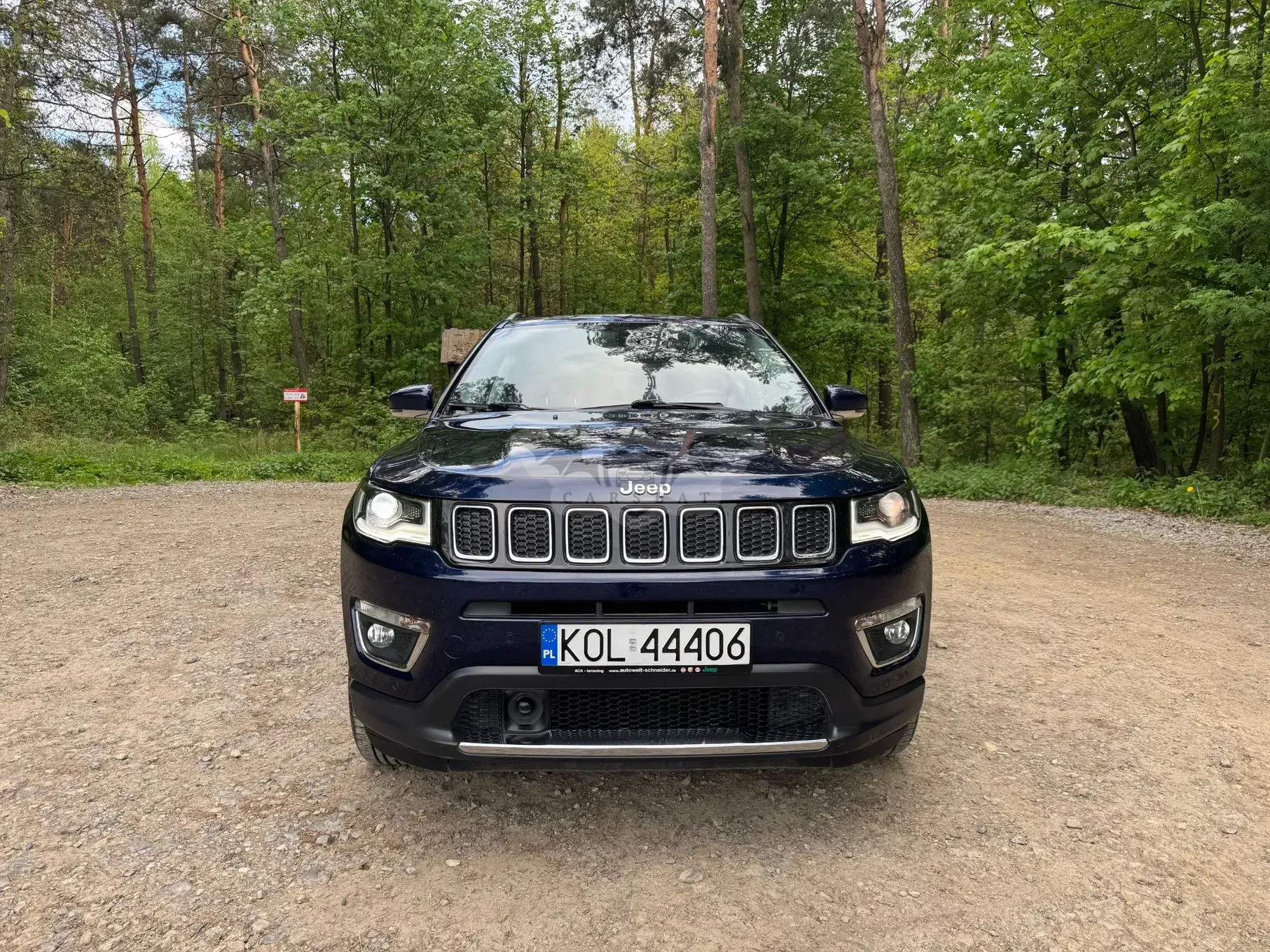 Jeep Compass II 1.4 TMair Limited 4WD S&S 2019