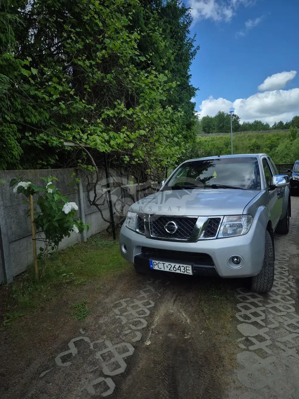 Nissan Navara 2011