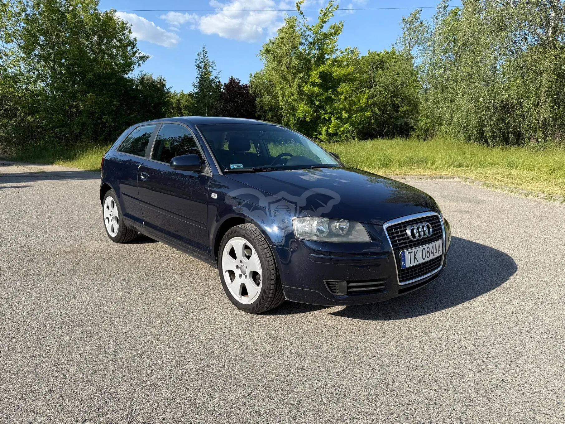 Audi A3 8P 1.9 TDI DPF Attraction 2005