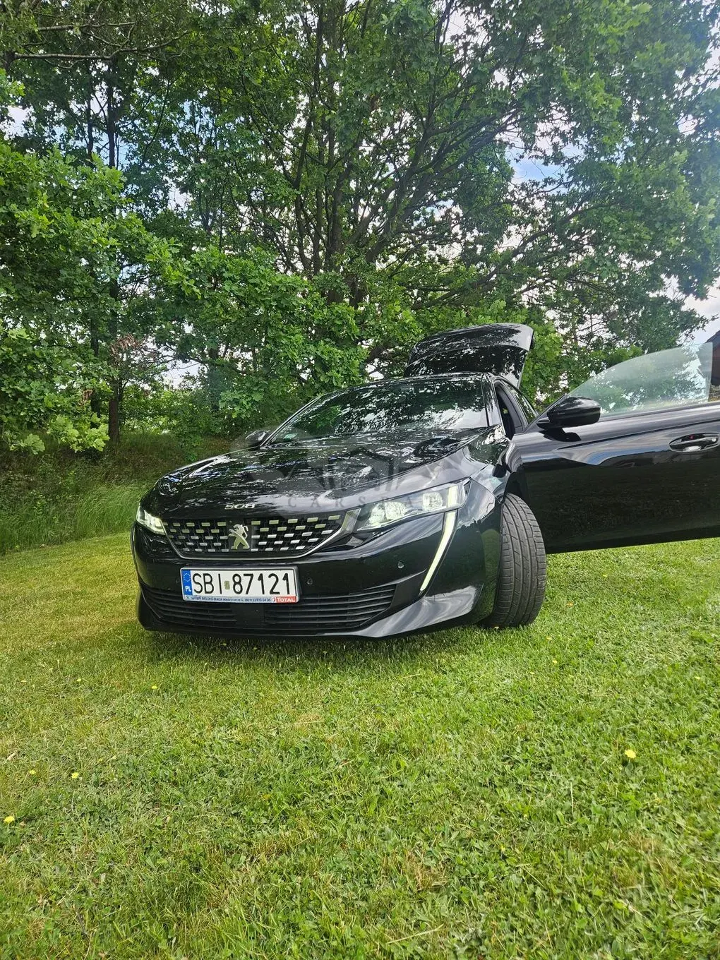 Peugeot 508 II 2.0 BlueHDi GT Line S&S EAT8 2019