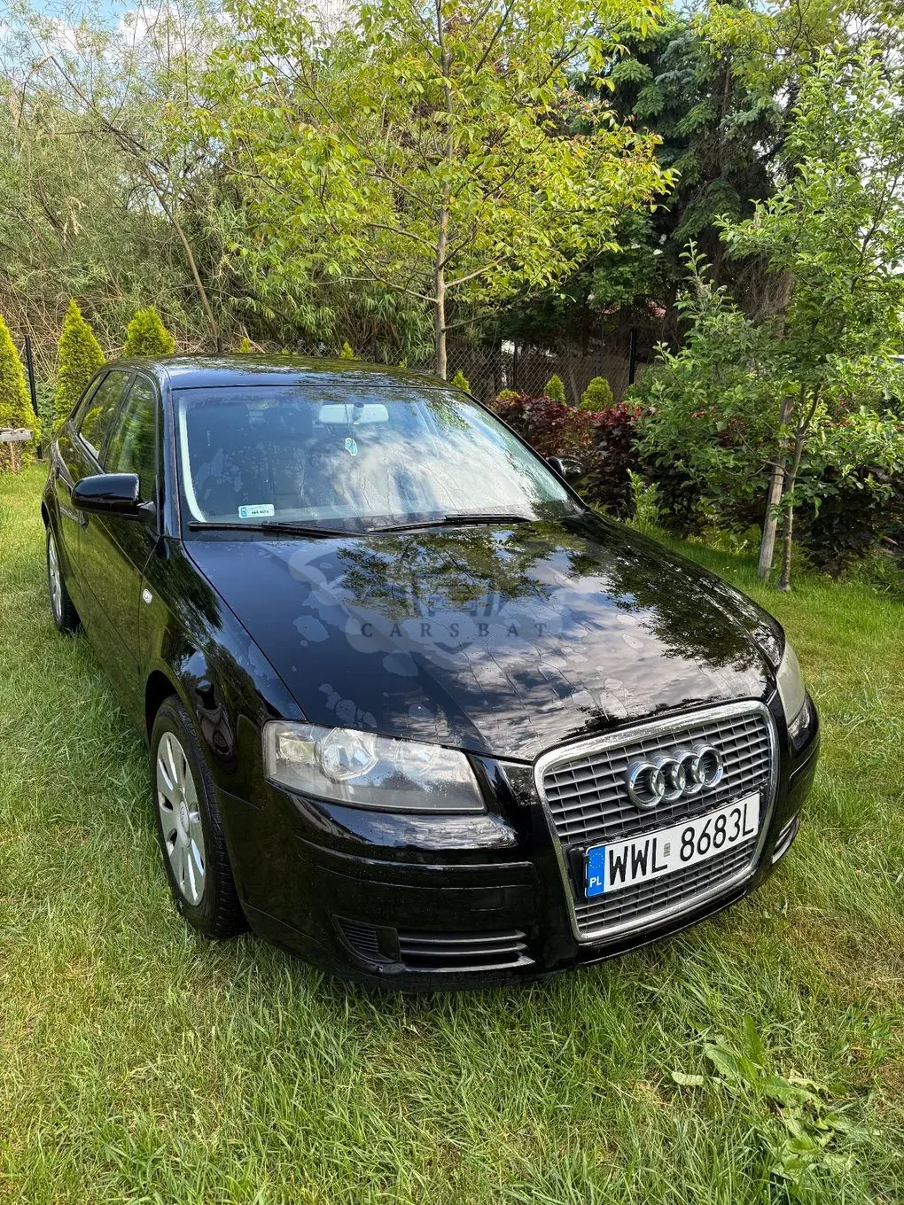 Audi A3 8P 1.6 Ambiente 2005