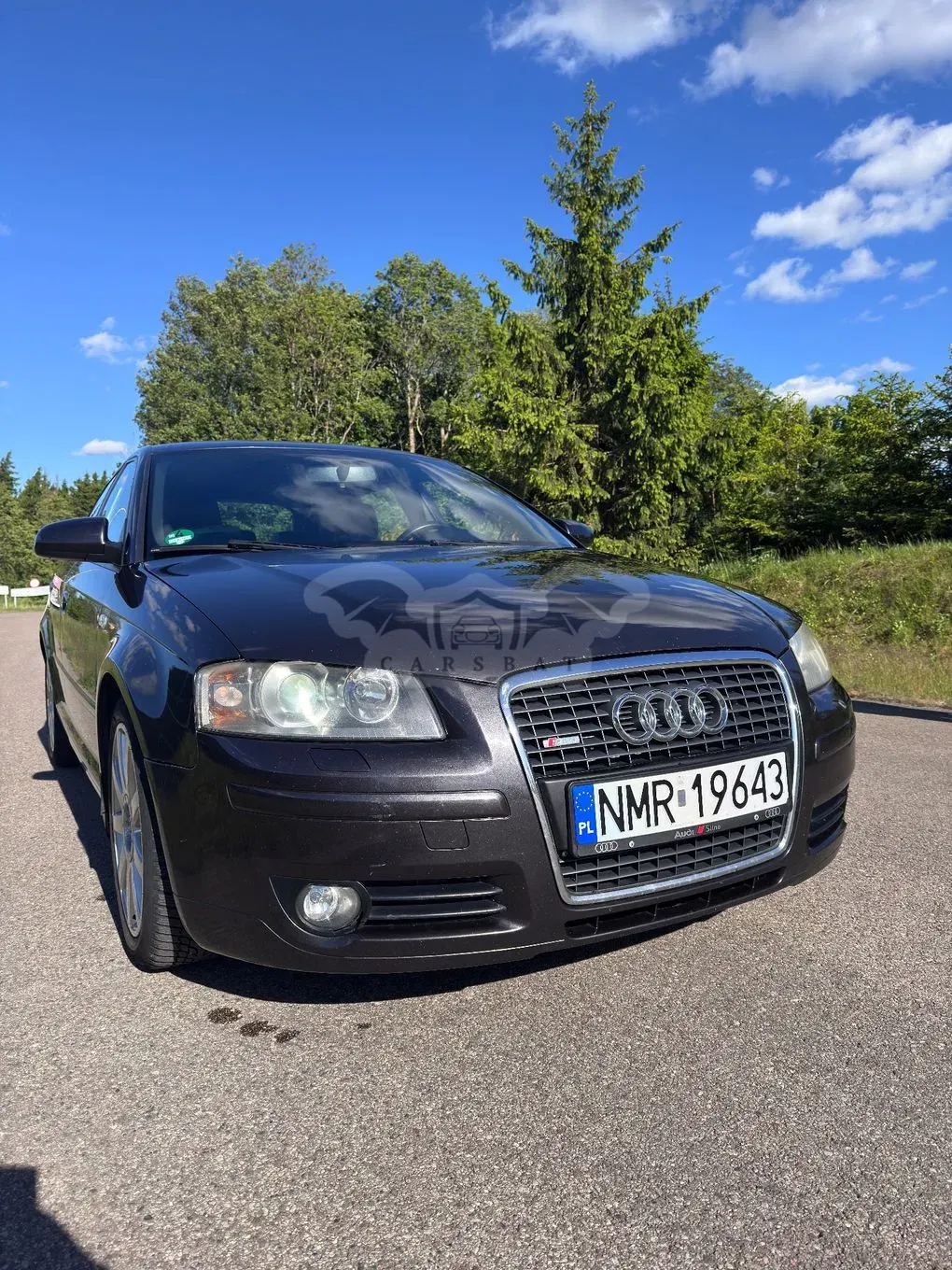 Audi A3 8P 2005