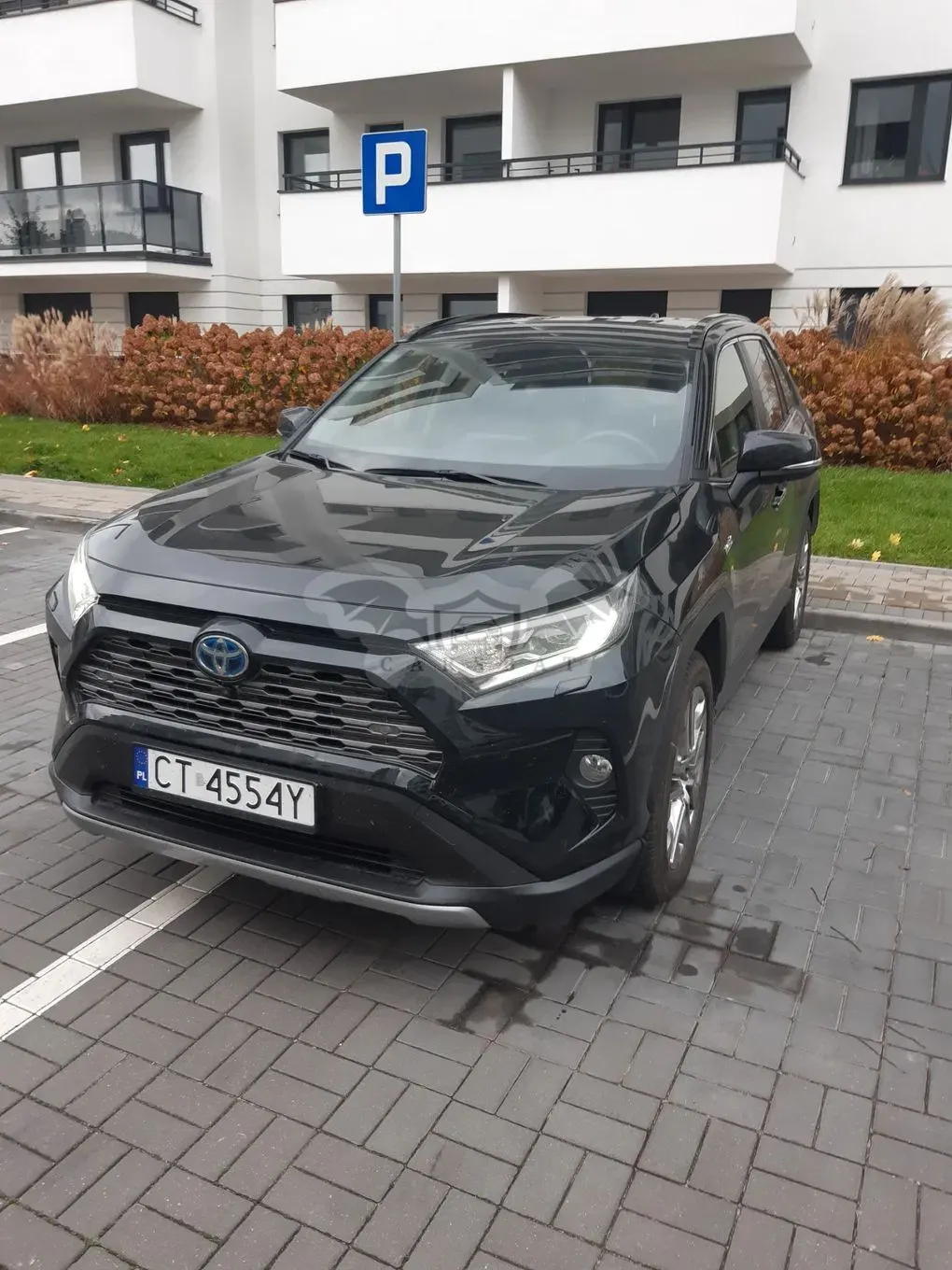 Toyota Rav4 V 2.0 Executive 4x4 MS 2021