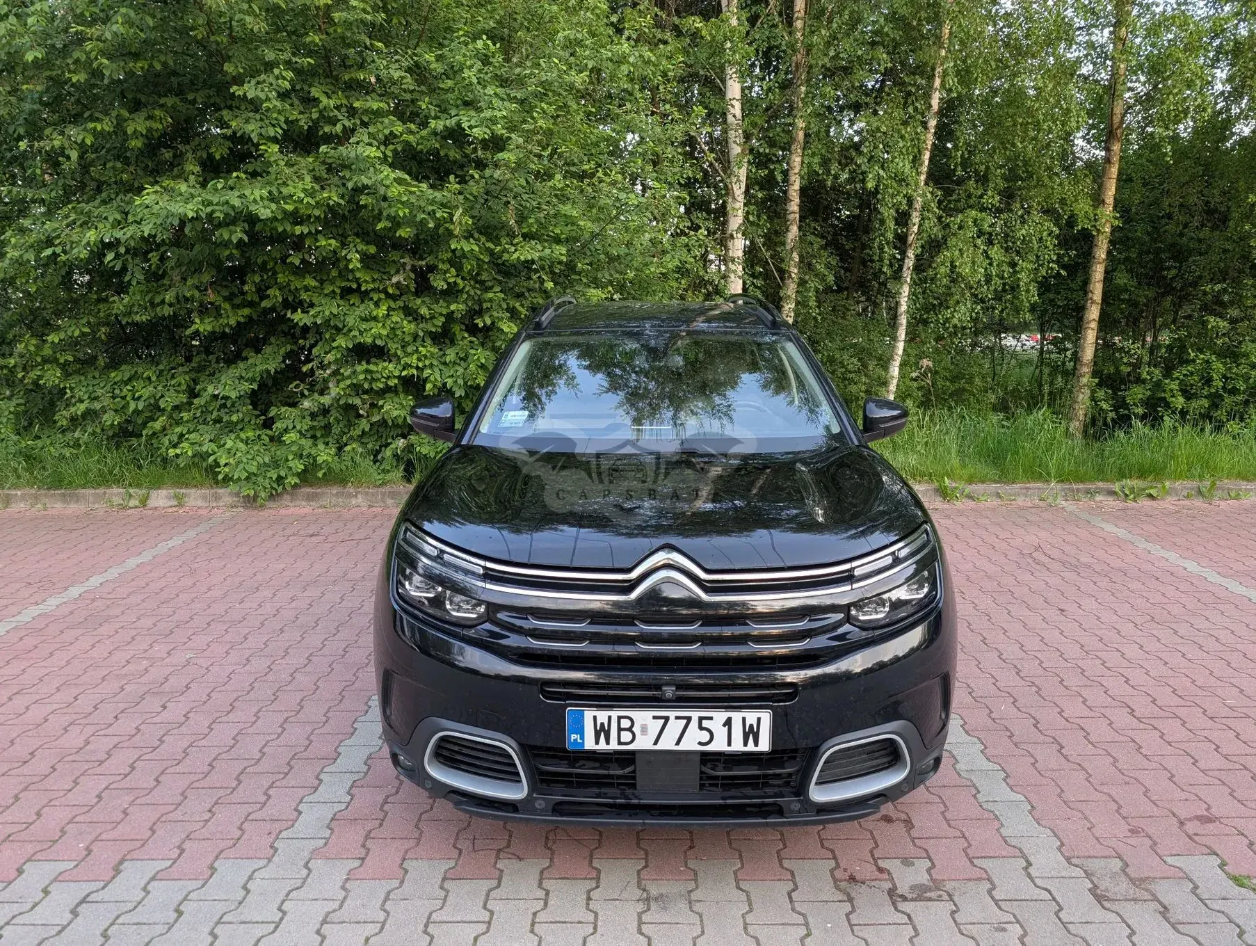 Citroën C5 Aircross 2.0 BlueHDi Shine EAT8 2019