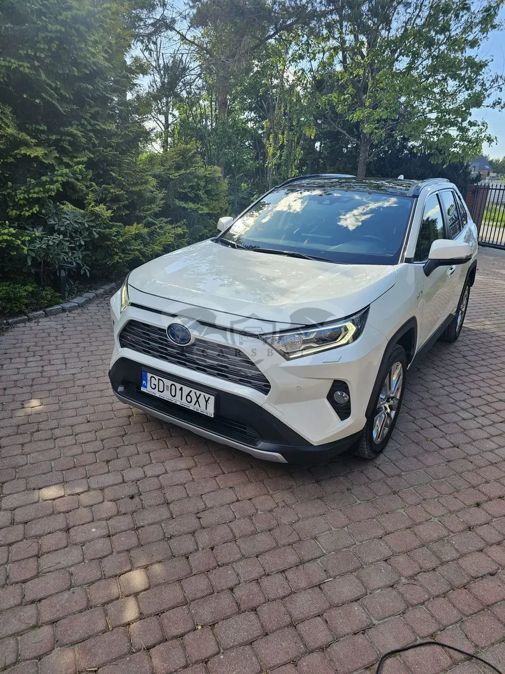 Toyota Rav4 V 2.5 Hybrid Executive 4x4 2021
