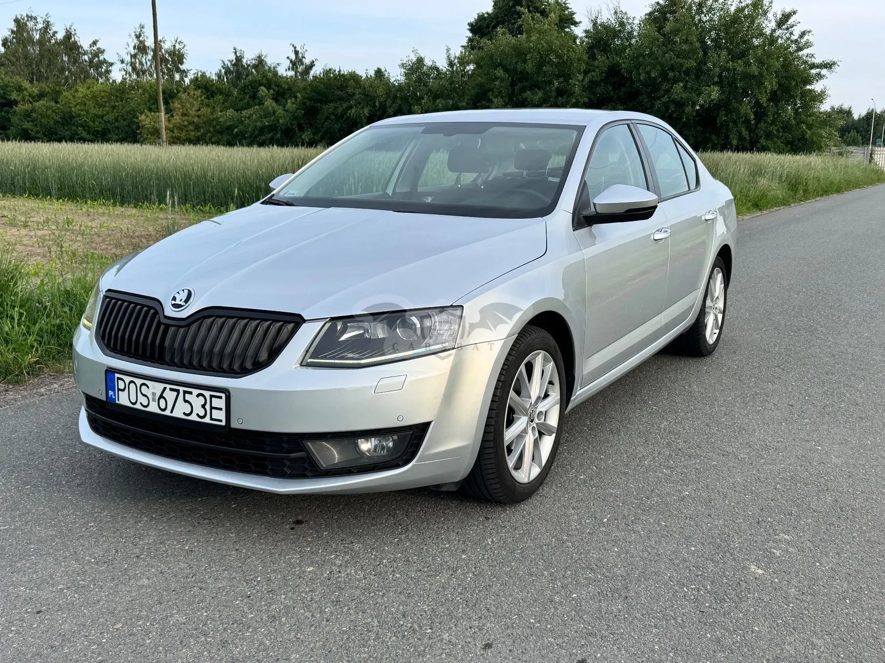 Skoda Octavia III 2.0 TDI Elegance 2016