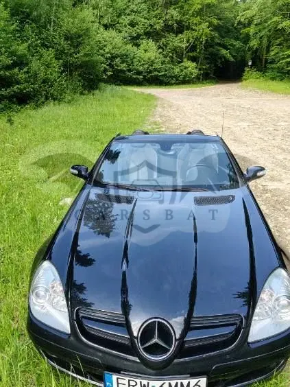 Mercedes-Benz SLK R171 2007