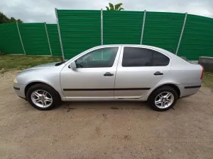 Skoda Octavia II 1.9 TDI Classic 2007