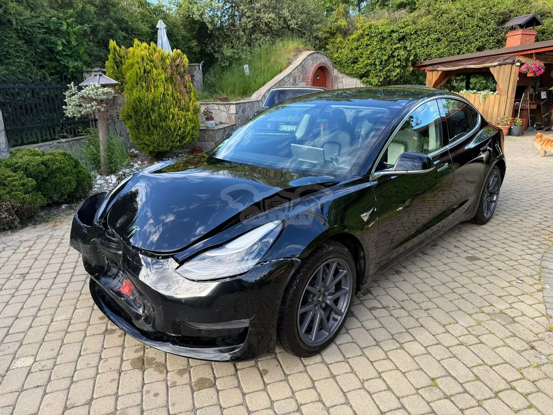 Tesla Model 3 2019