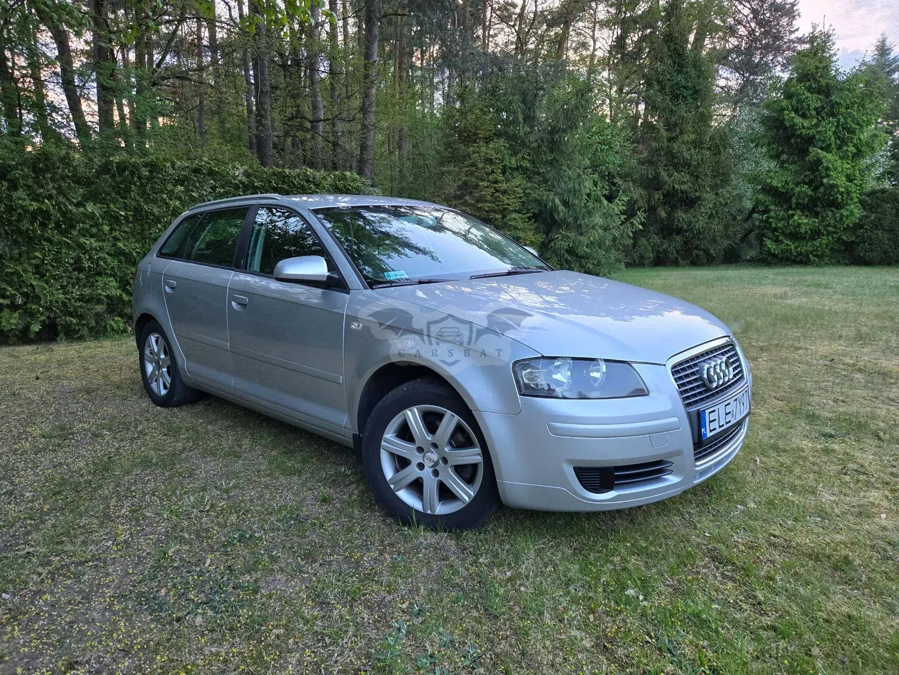 Audi A3 8P 1.6 Attraction 2007