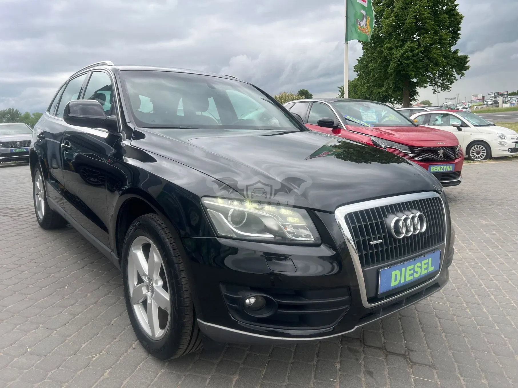 Audi Q5 8R 2.0 TDI Quattro Prime Line 2010