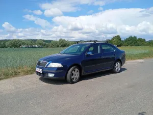 Skoda Octavia II 1.9 TDI Elegance 2007