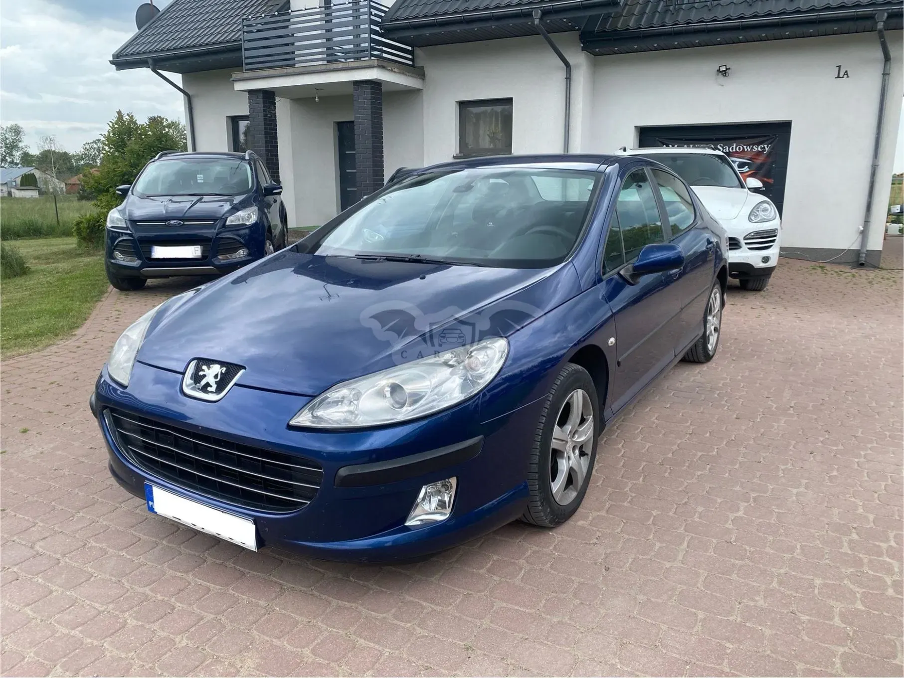 Peugeot 407 125 Tendance 2007