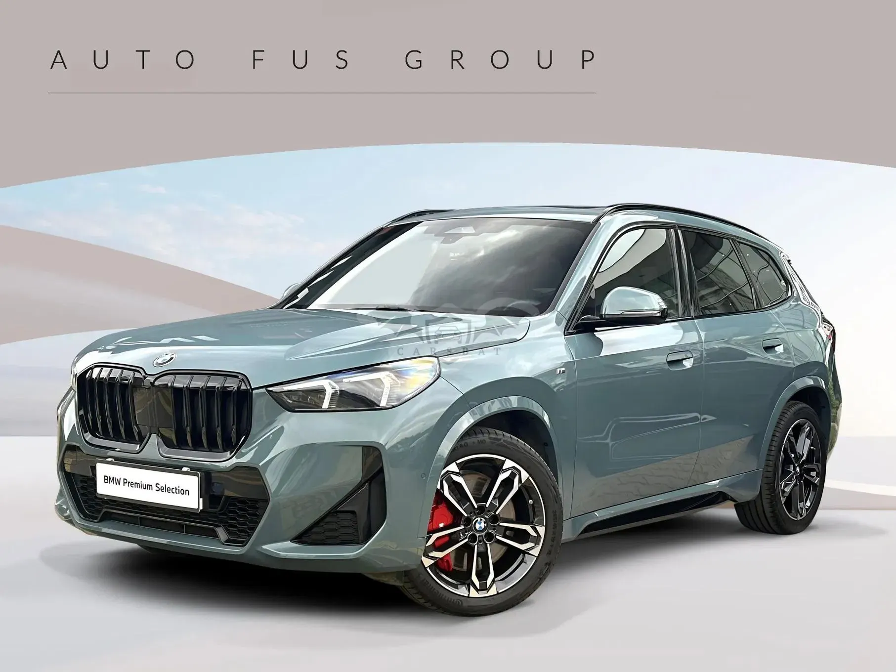 BMW X1 U11 xDrive20d mHEV M Sport sport 2025