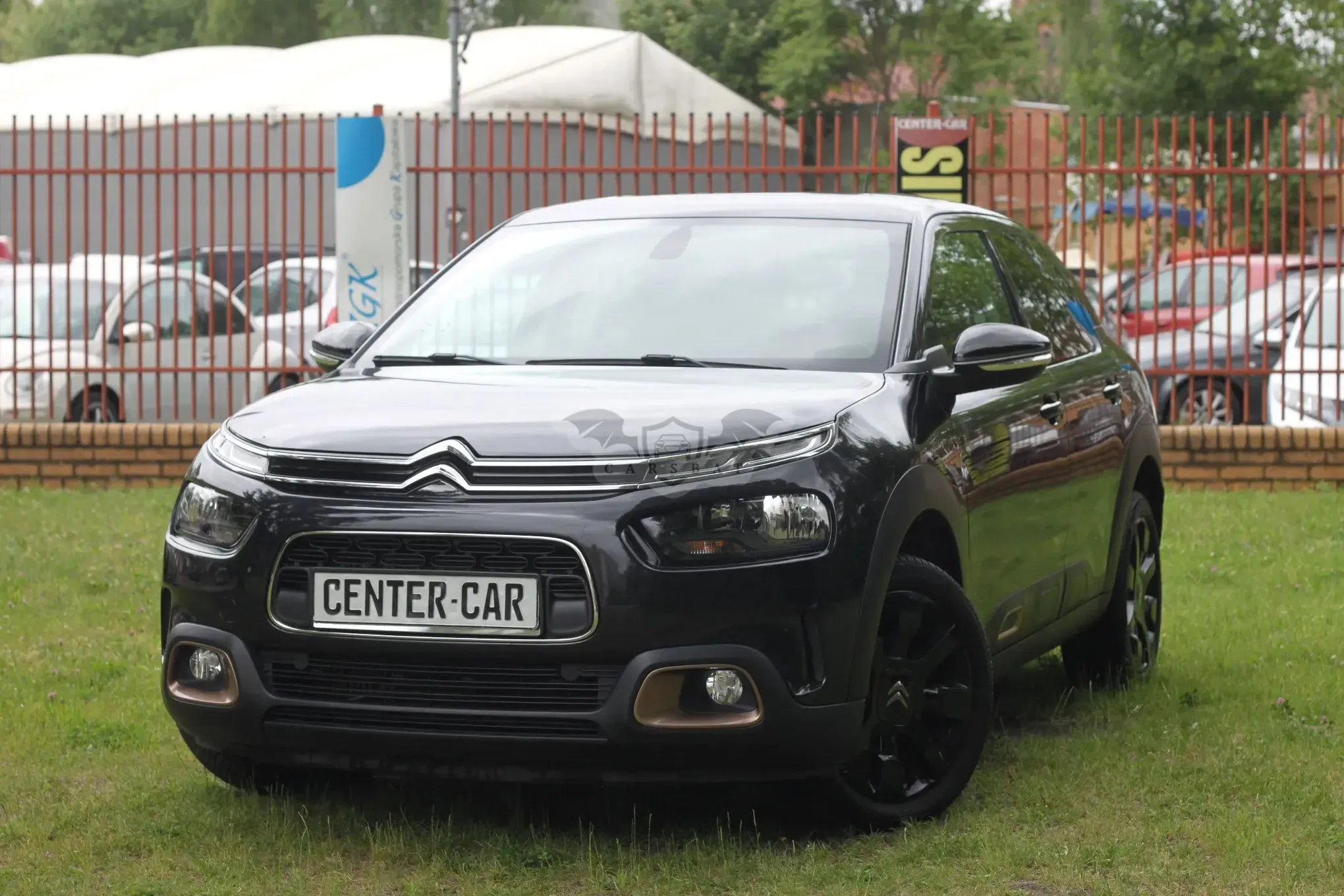 Citroën C4 Cactus 1.2 PureTech Origins S&S 2019